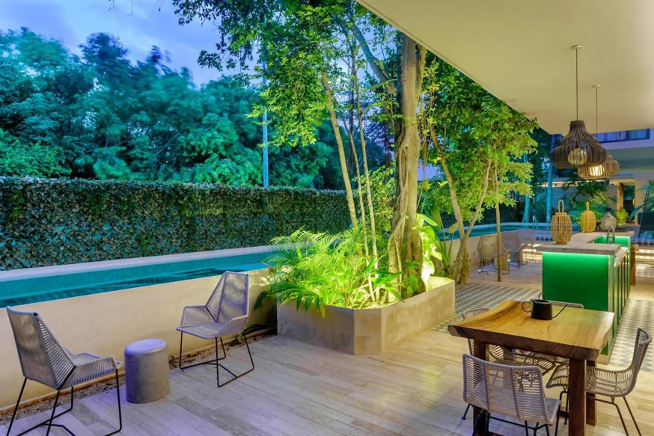 305 Luxury Penthouse With Private Pool Apartment Tulum 0*,