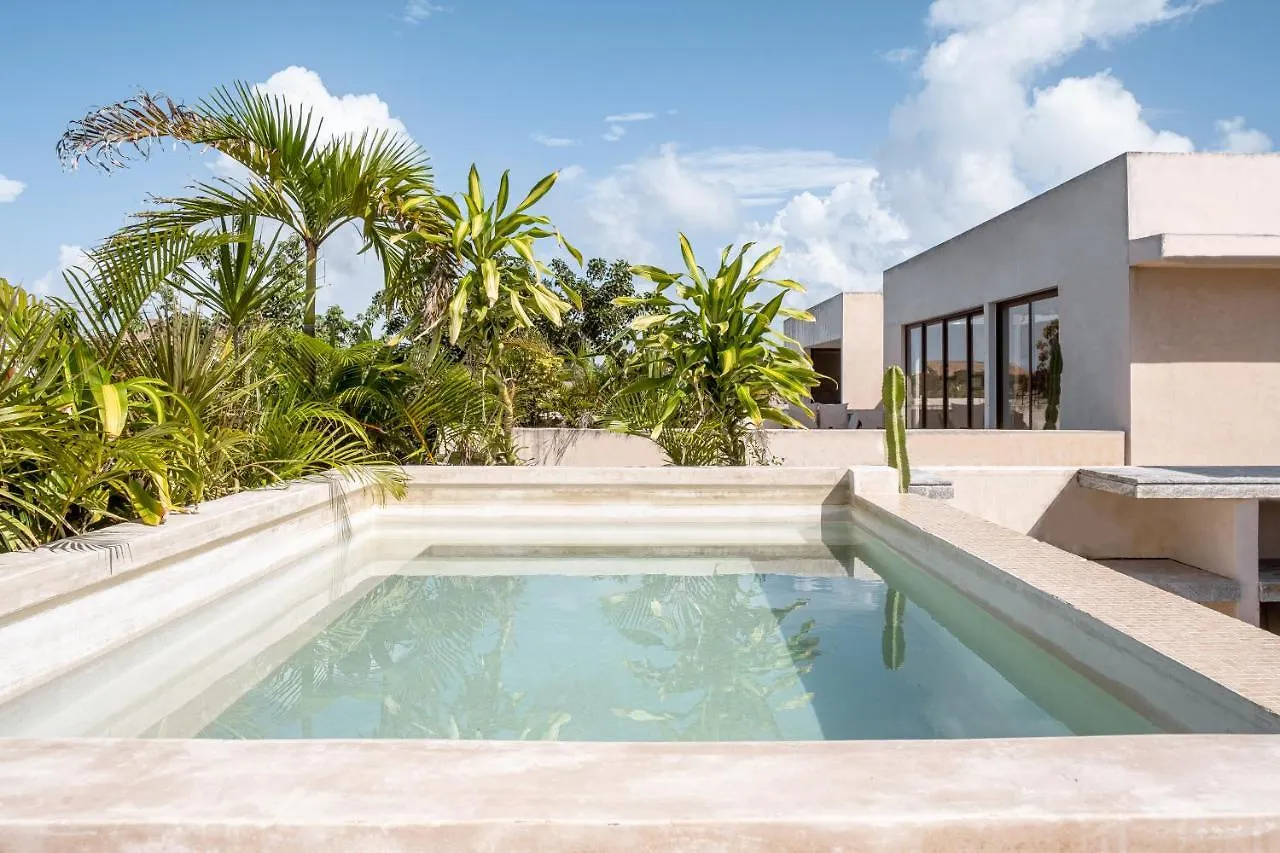 305 Luxury Penthouse With Private Pool Apartment Tulum 0*,  Mexico