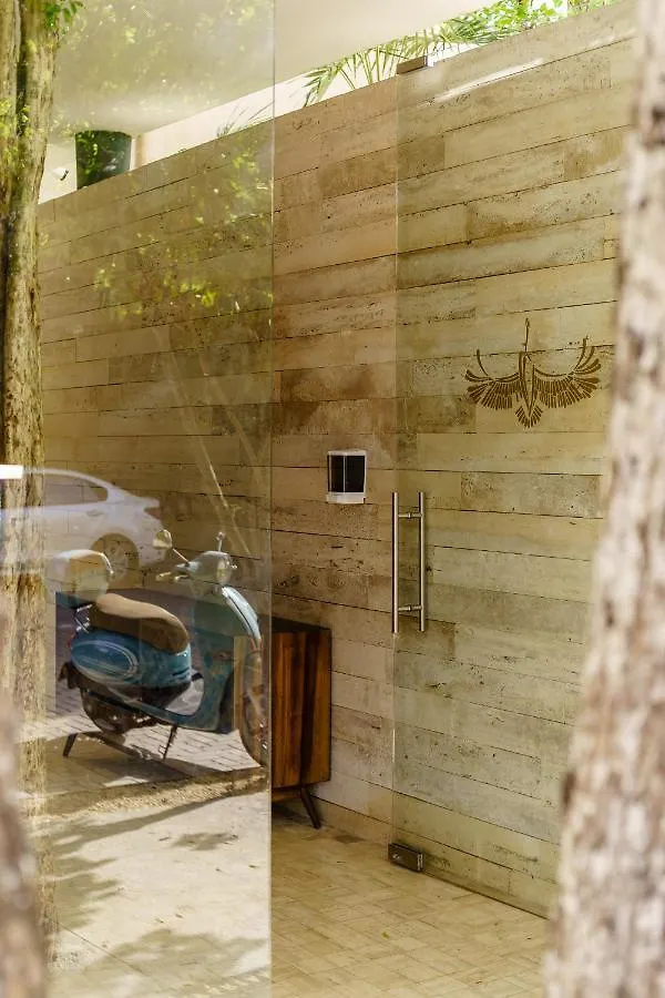 305 Luxury Penthouse With Private Pool Apartment Tulum 0*,